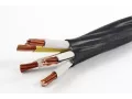 ВВГ нг LS 5*25 (Тк) кабелі