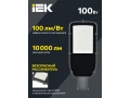             Шам LED ДКУ 1002-100Д 5000К IP65 сұр ИЭК    