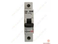             Автоматтық ажыратқыш Lr 1п 50А Түрі С 6кА /604810/    