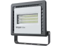 Шам NFL-01-50-6,5K-LED 14 146 Navigator