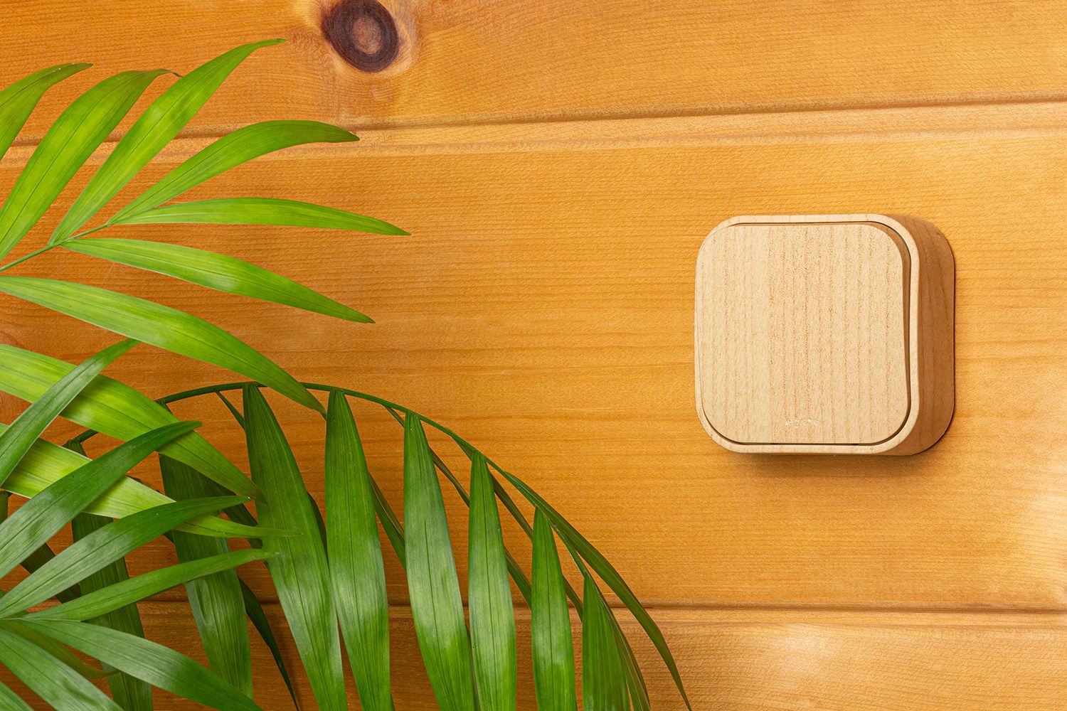             Ажыратқыш 1-пернелі 10А ағаш QUTEO /782260/    