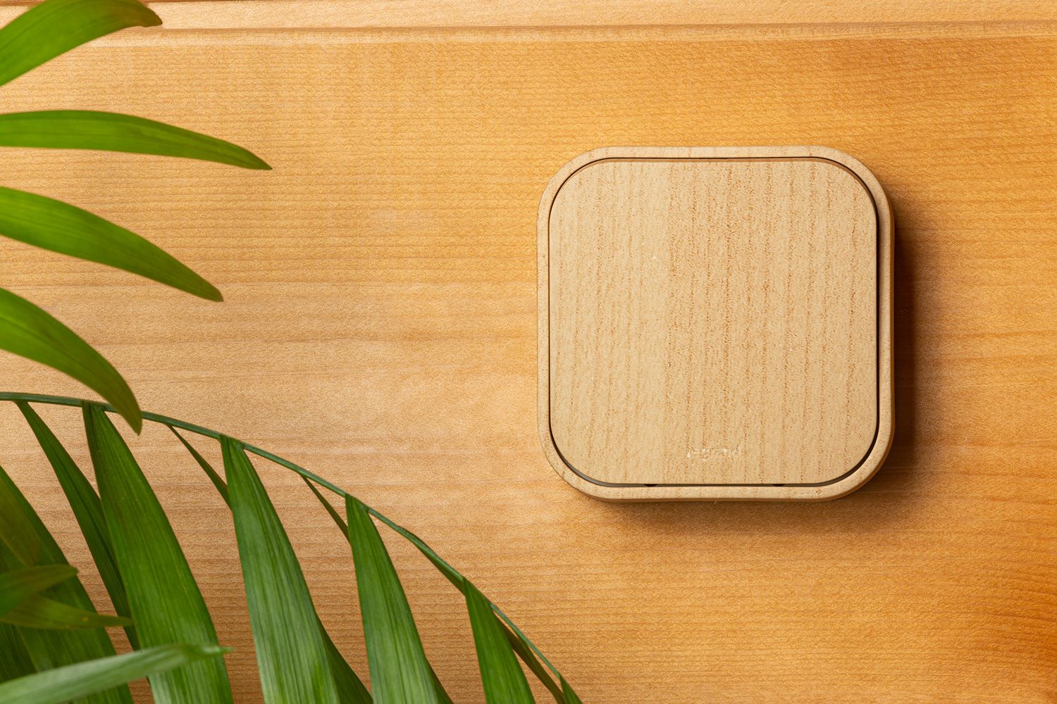             1-пернелі ажыратып-қосқыш, 10А ДЕРВ QUTEO    