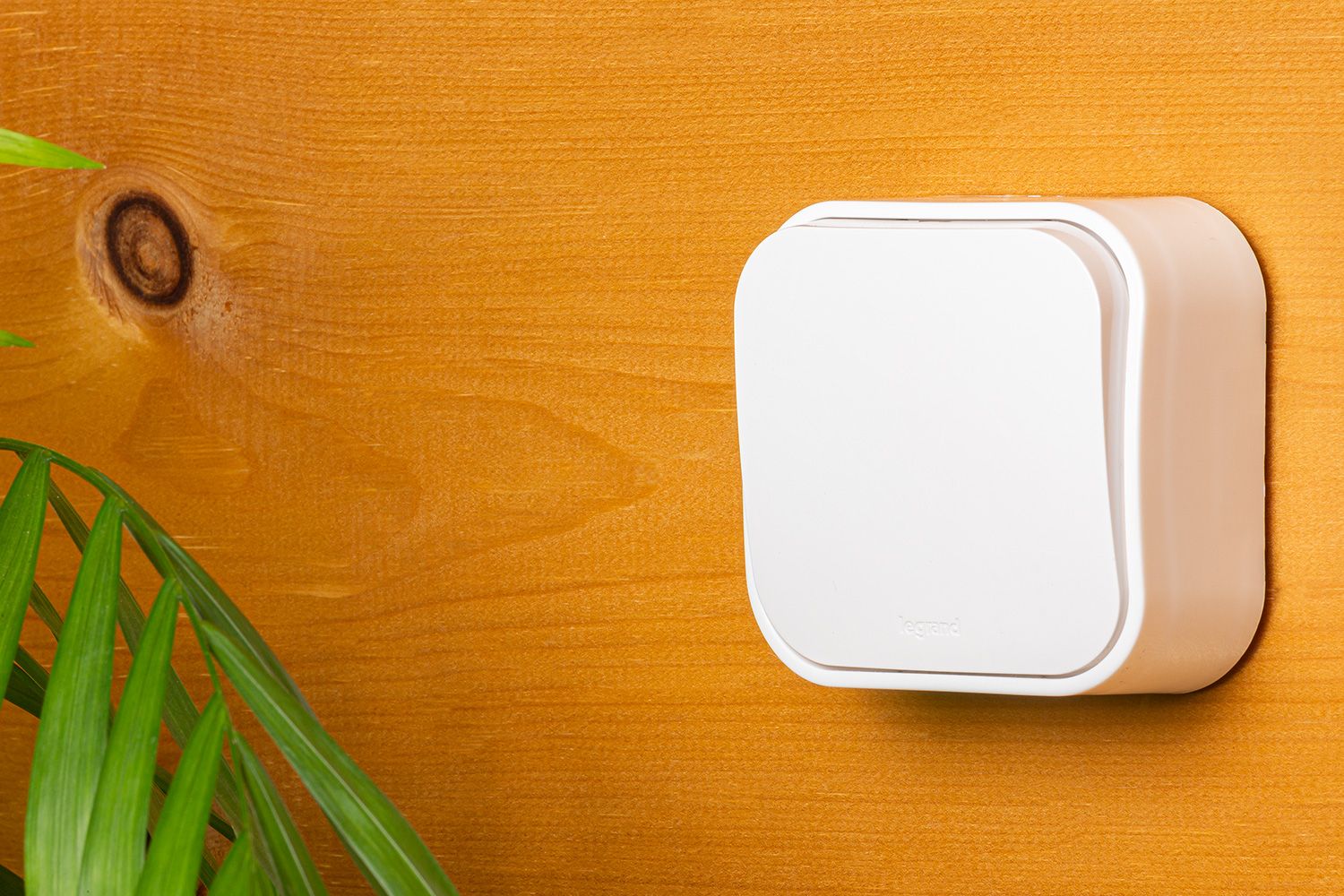             Ажыратқыш 1-пернелі 10А ақ /782200/    