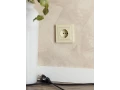             BRITE 1 ұялы жерлендірумен перделері бар розетка 16А РС14-1-0-БрКр сарғыш ИЭК    