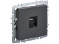             BRITE Компьютер розеткасы RJ45 кат.5E РК10-БрГ графит ИЭК    
