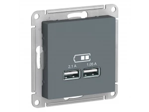 USB розетка А+А, 5В/2,1А мех, ГРИФЕЛЬ /ATN000733/