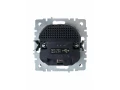             BRITE Розетка 1 орынды қорғаныс перделері бар, жерге тұйықталған 16А USB A+C мен 18Вт РЮш11-1-БрШ шампан ИЭК    