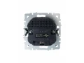             BRITE Розетка 1 орынды қорғаныс перделері бар, жерге тұйықталған 16А USB A+C мен 18Вт РЮш11-1-БрГ графит ИЭК    