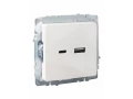             BRITE USB A+C розеткасы 18 Вт РЮ11-1-БрЖ інжу ИЭК    