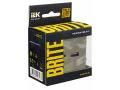             BRITE USB A+C розеткасы 18 Вт РЮ11-1-БрШ Шампан ИЭК    