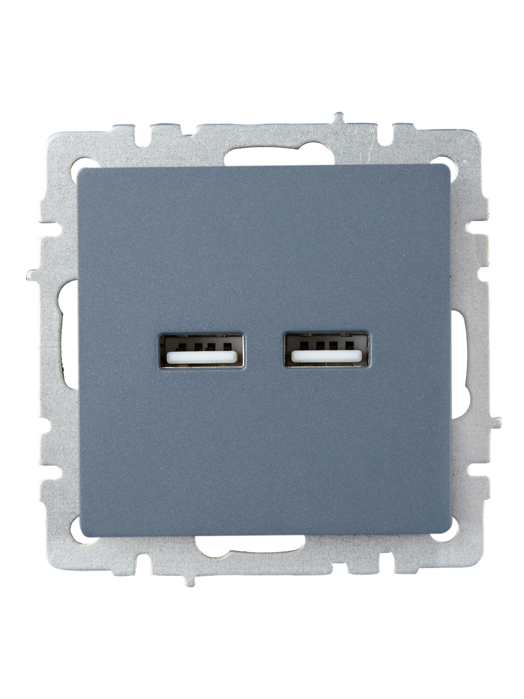             BRITE USB розеткасы, A+A 5В 3,1 A РЮ10-1-БрМ маренго ИЭК    