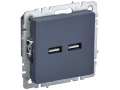             BRITE USB розеткасы, A+A 5В 3,1 A РЮ10-1-БрМ маренго ИЭК    