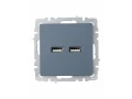             BRITE USB розеткасы, A+A 5В 3,1 A РЮ10-1-БрМ маренго ИЭК    
