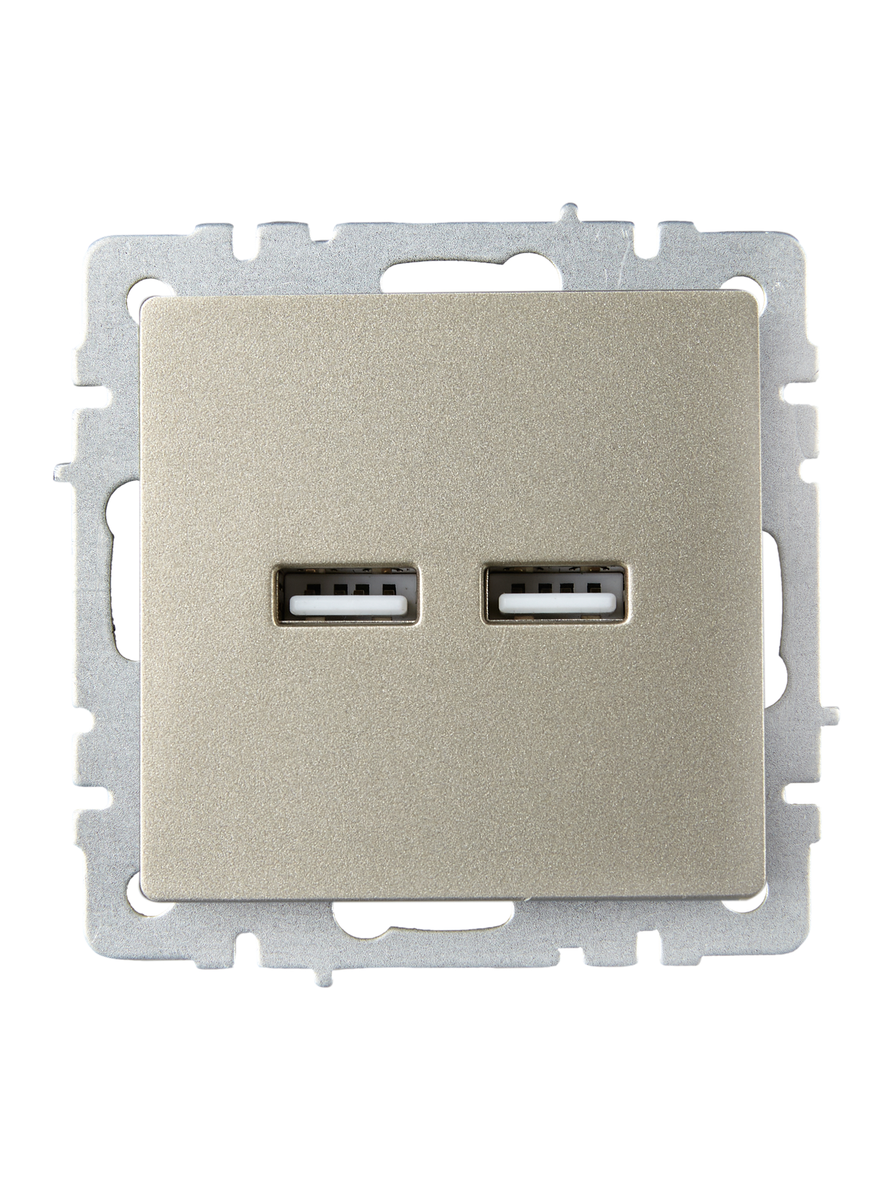             BRITE USB розеткасы, А+А 5В 3,1 А РЮ10-1-БрШ шампан ИЭК    