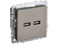             BRITE USB розеткасы, А+А 5В 3,1 А РЮ10-1-БрШ шампан ИЭК    
