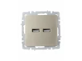             BRITE USB розеткасы, А+А 5В 3,1 А РЮ10-1-БрШ шампан ИЭК    