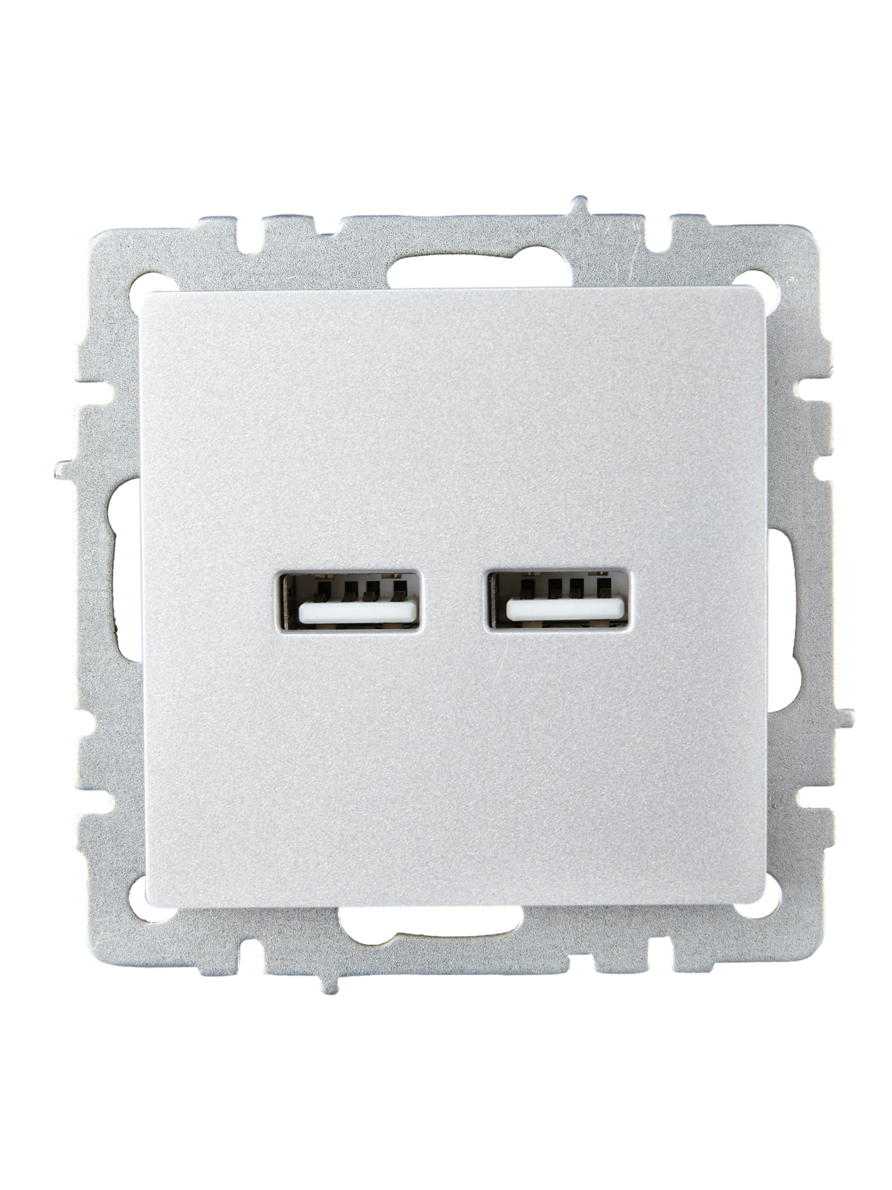             BRITE розеткасы, USB A+A 5В 3,1 А РЮ10-1-БрА алюминий ИЭК    
