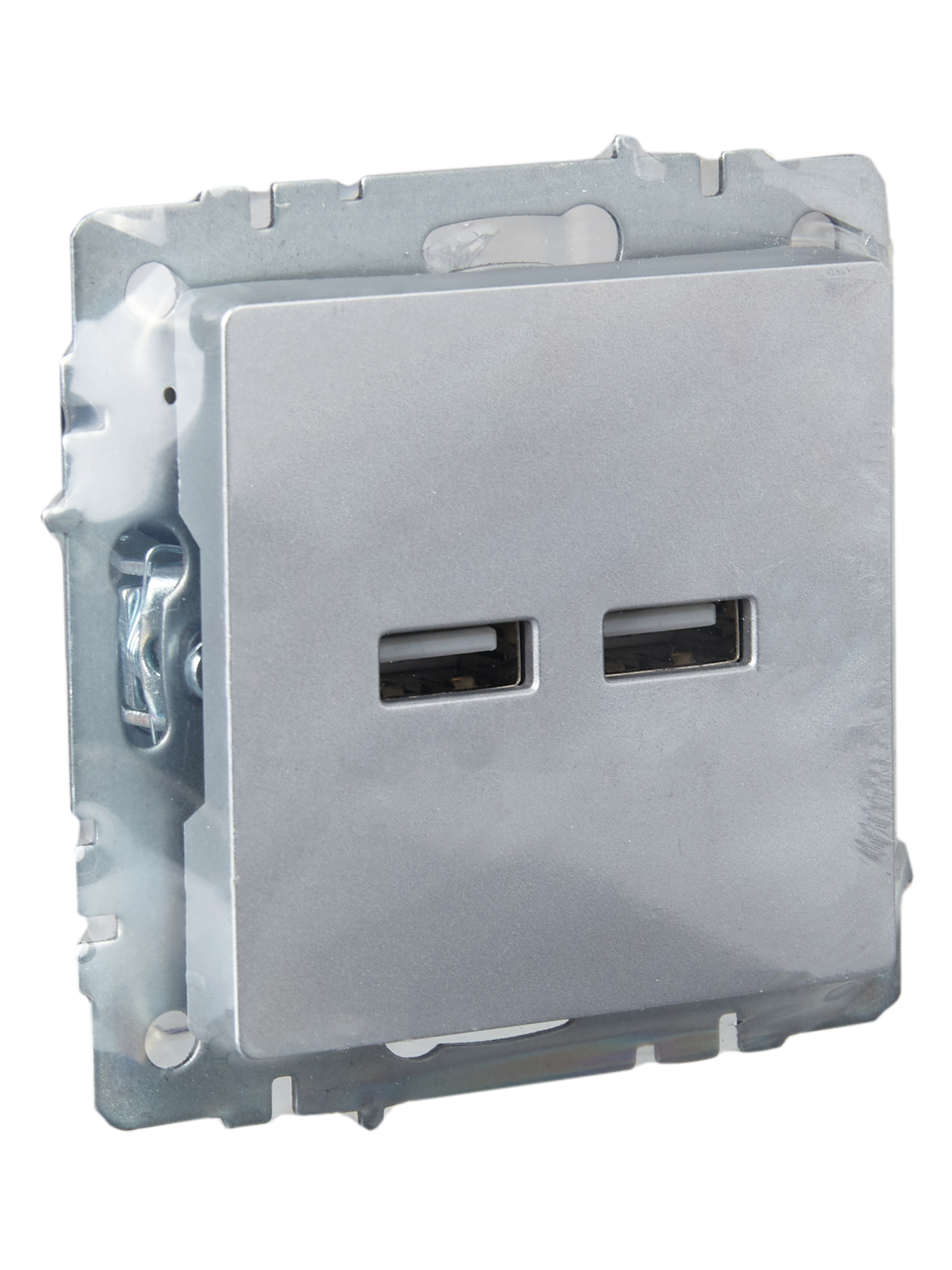             BRITE розеткасы, USB A+A 5В 3,1 А РЮ10-1-БрА алюминий ИЭК    