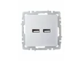             BRITE розеткасы, USB A+A 5В 3,1 А РЮ10-1-БрА алюминий ИЭК    