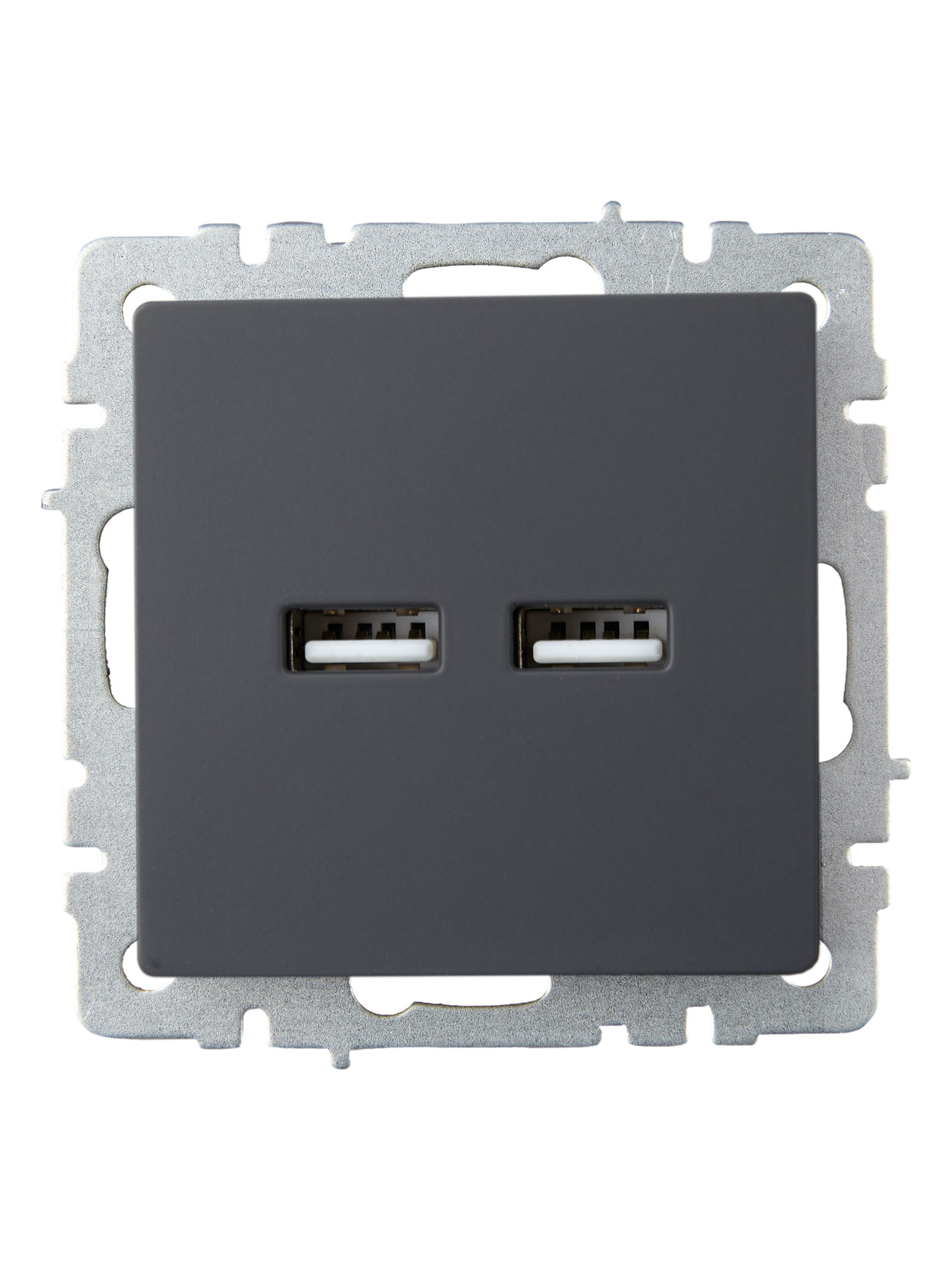             BRITE USB розеткасы, A+A 5В 3,1 А РЮ10-1-БрГ графит ИЭК    