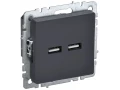             BRITE USB розеткасы, A+A 5В 3,1 А РЮ10-1-БрГ графит ИЭК    