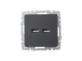             BRITE USB розеткасы, A+A 5В 3,1 А РЮ10-1-БрГ графит ИЭК    