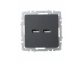             BRITE USB розеткасы, A+A 5В 3,1 А РЮ10-1-БрГ графит ИЭК    