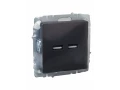             BRITE USB розеткасы, A+A 5В 3,1 А РЮ10-1-БрГ графит ИЭК    