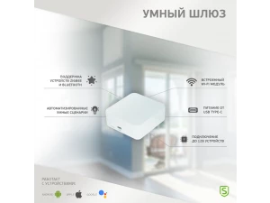 Умный Wi-Fi/Zigbee/Bluetooth шлюз SECURIC /SEC-GT-101/