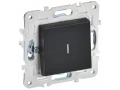             SKANDY Ажыратқыш, 1 пернелі, өтпелі, индикациямен, 10А SK-V08Bl қара IEK    