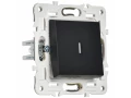             SKANDY Ажыратқыш, 1 пернелі, өтпелі, индикациямен, 10А SK-V08Bl қара IEK    