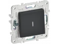             SKANDY Ажыратқыш 1 пернелі, индикациямен 10А SK-V07G графит IEK    