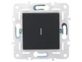             SKANDY Ажыратқыш 1 пернелі, индикациямен 10А SK-V07G графит IEK    