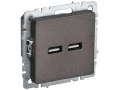             BRITE USB A+A розеткасы 5В 3,1А РЮ10-1-БрТБ қара қола IEK    