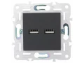             SKANDY USB A+А розеткасы 3,1А SK-R15G графит IEK    