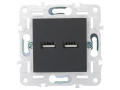             SKANDY USB A+А розеткасы 3,1А SK-R15G графит IEK    