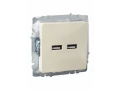            BRITE USB A+A розеткасы 5В 3,1А РЮ10-1-БрКр сарғыш IEK    