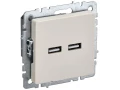             BRITE USB A+A розеткасы 5В 3,1А РЮ10-1-БрКр сарғыш IEK    
