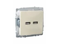             BRITE USB A+A розеткасы 5В 3,1А РЮ10-1-БрКр сарғыш IEK    