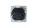             BRITE Розетка 1 орынды қорғаныс перделері бар, жерге тұйықталған 16АUSB A+A мен 5B 2,1A  РЮш10-1-БрЧ қара ИЭК    