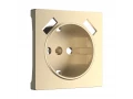             USB розетка қондырмасы  /W1179511 (шампан)    