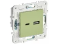             SKANDY Розетка USB A+C 3,1А SK-R14G жалбызды IEK    