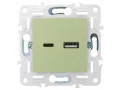             SKANDY Розетка USB A+C 3,1А SK-R14G жалбызды IEK    