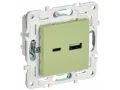             SKANDY Розетка USB A+C 18Вт SK-R13G жалбызды IEK    