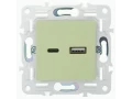            SKANDY Розетка USB A+C 18Вт SK-R13G жалбызды IEK    