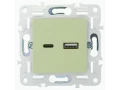             SKANDY Розетка USB A+C 18Вт SK-R13G жалбызды IEK    