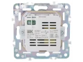             SKANDY Розетка USB A+C 18Вт SK-R13G жалбызды IEK    