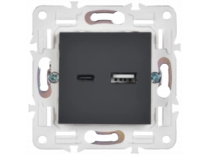 SKANDY Розетка USB A+C 18Вт SK-R13T титан IEK