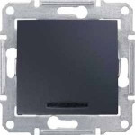             Ажыратқыш 1-пернелі 10А көмескі жарығымен, графит SDN1400170    