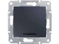             Ажыратқыш 1-пернелі 10А көмескі жарығымен, графит SDN1400170    